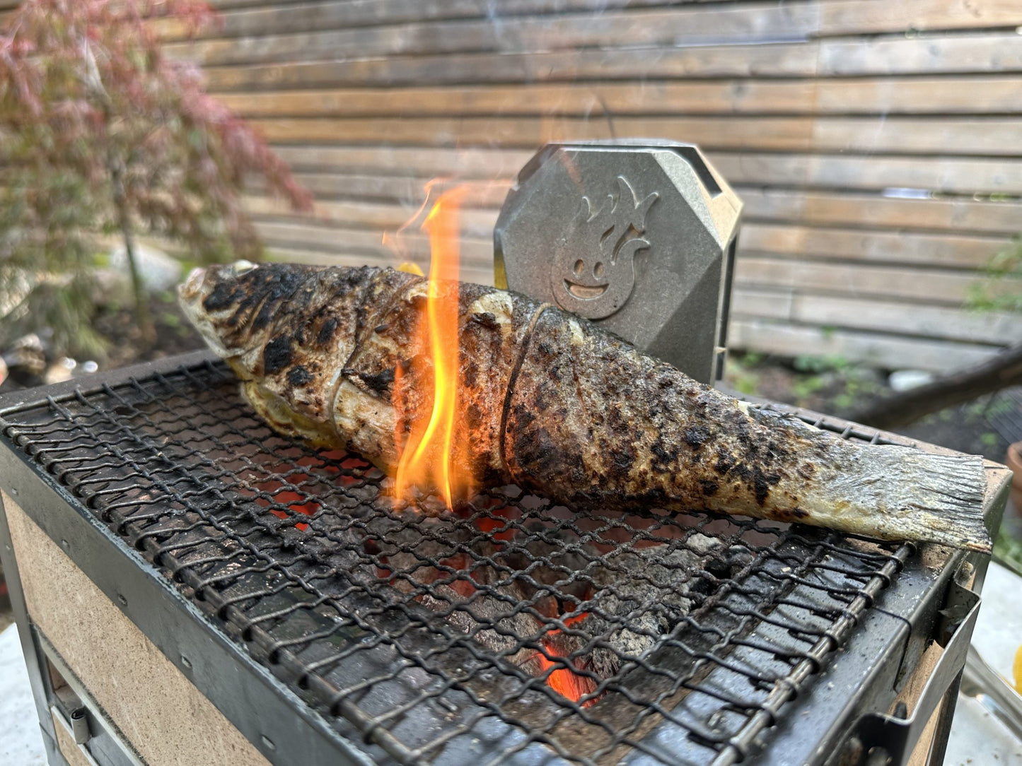 The Original BBQ BUDDY